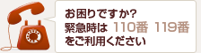 お困りですか？緊急時は110番、119番をご利用ください